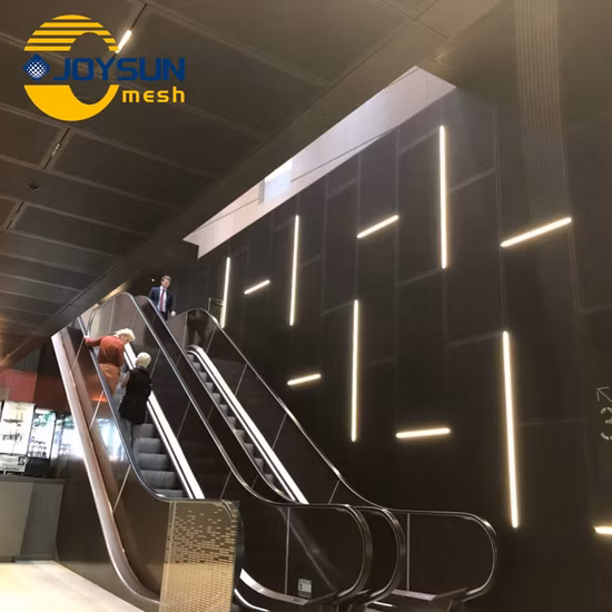 レーザー切断 CNC カット装飾的なファサードの外装スクリーンサイディング壁アルミニウムクラッディング 3 ミリメートル単一アルミニウム穴あきファサード固体パネル